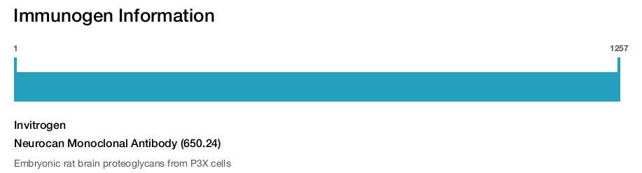 Neurocan Monoclonal Antibody (650.24)