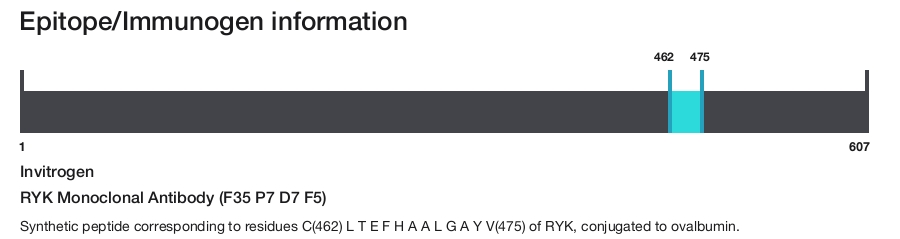 RYK Monoclonal Antibody (F35 P7 D7 F5)