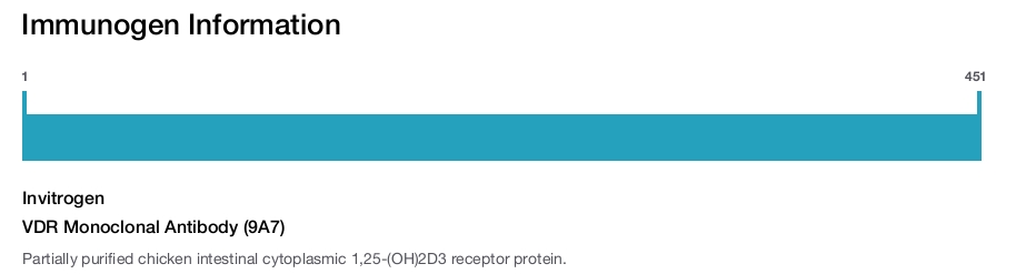 VDR Monoclonal Antibody (9A7)