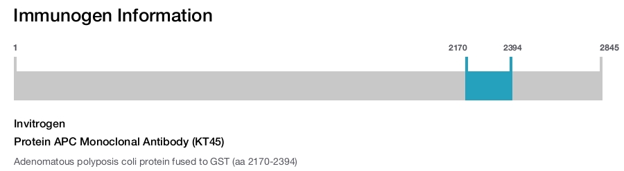 Protein APC Monoclonal Antibody (KT45)