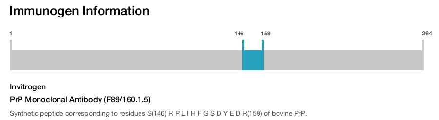 PrP Monoclonal Antibody (F89/160.1.5)