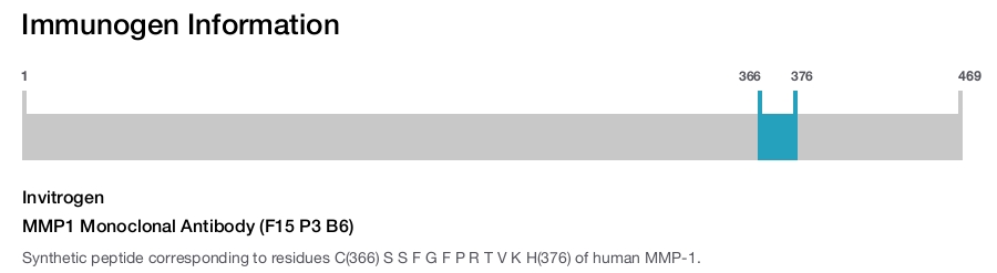 MMP1 Monoclonal Antibody (F15 P3 B6)