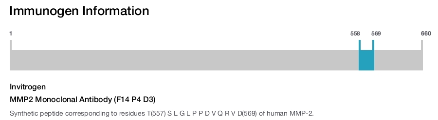 MMP2 Monoclonal Antibody (F14 P4 D3)