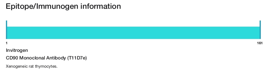 CD90 Monoclonal Antibody (T11D7e)