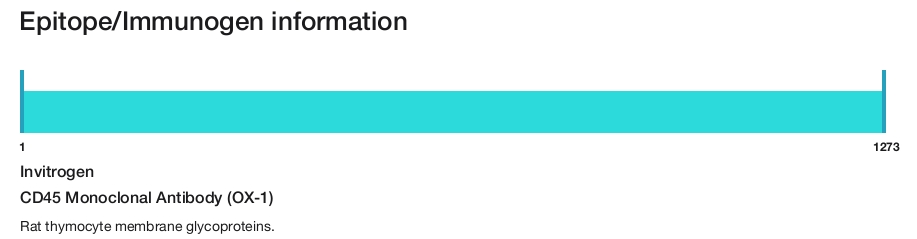 CD45 Monoclonal Antibody (OX-1)