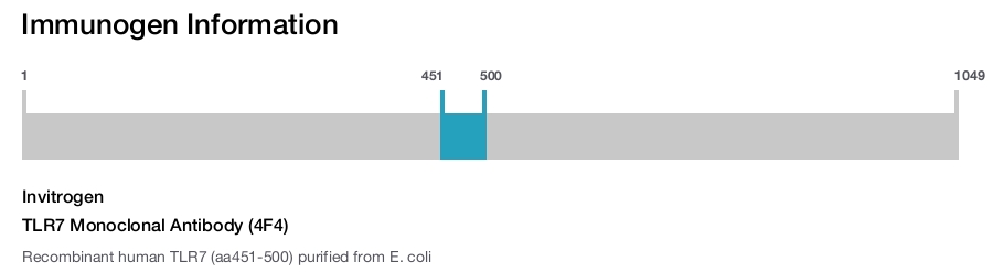 TLR7 Monoclonal Antibody (4F4)