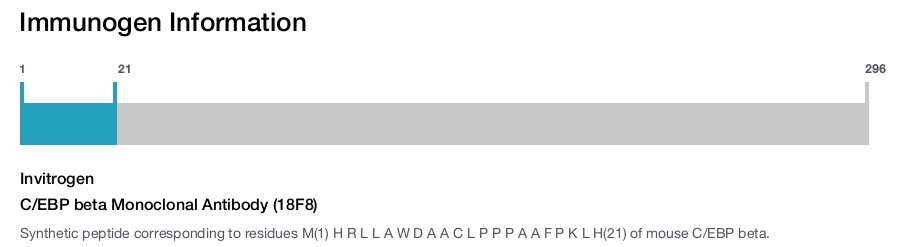 C/EBP beta Monoclonal Antibody (18F8)