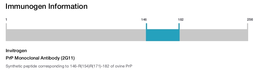 PrP Monoclonal Antibody (2G11)