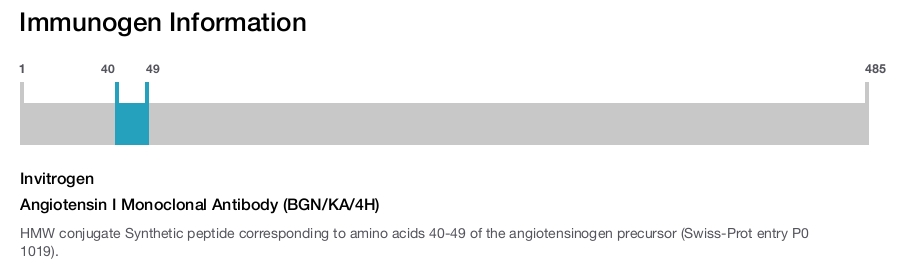 Angiotensin I Monoclonal Antibody (BGN/KA/4H)