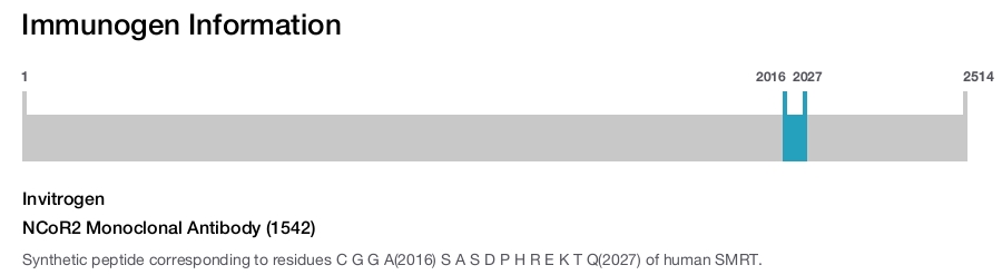 NCoR2 Monoclonal Antibody (1542)