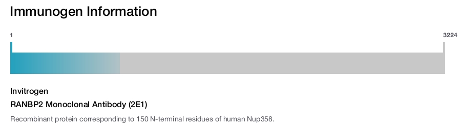 RANBP2 Monoclonal Antibody (2E1)