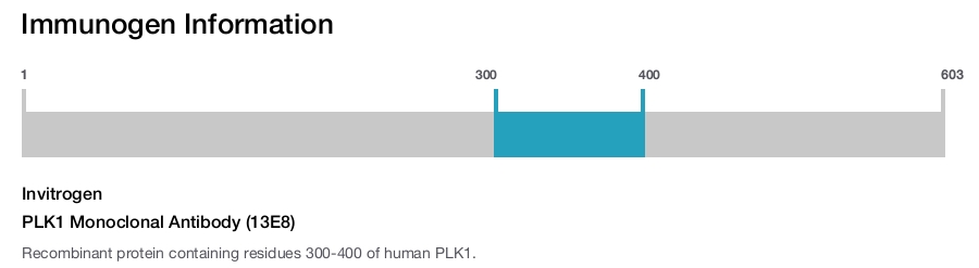 PLK1 Monoclonal Antibody (13E8)