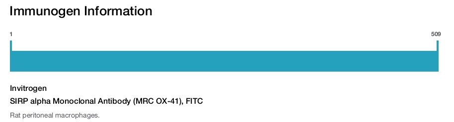 SIRP alpha Monoclonal Antibody (MRC OX-41), FITC