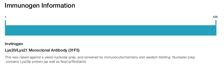 Lys20/Lys21 Monoclonal Antibody (31F5)