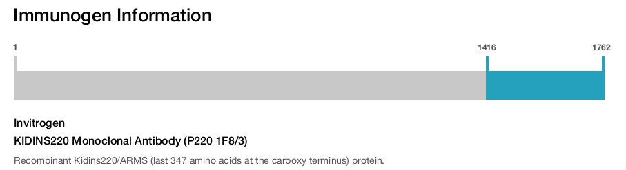 KIDINS220 Monoclonal Antibody (P220 1F8/3)