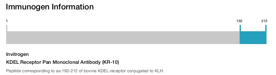 KDEL Receptor Pan Monoclonal Antibody (KR-10)