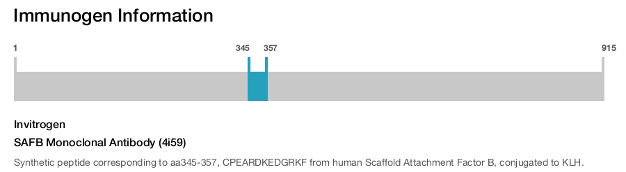 SAFB Monoclonal Antibody (4i59)
