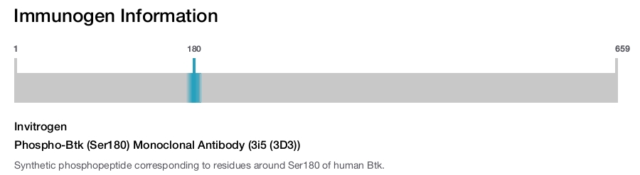 Phospho-Btk (Ser180) Monoclonal Antibody (3i5 (3D3))