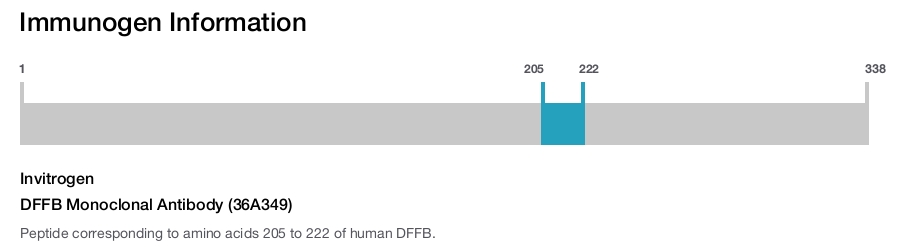 DFFB Monoclonal Antibody (36A349)