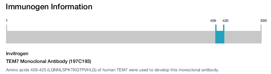 TEM7 Monoclonal Antibody (197C193)