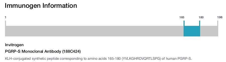 PGRP-S Monoclonal Antibody (188C424)