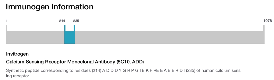 Calcium Sensing Receptor Monoclonal Antibody (5C10, ADD)