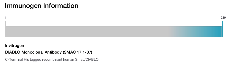 DIABLO Monoclonal Antibody (SMAC 17 1-87)