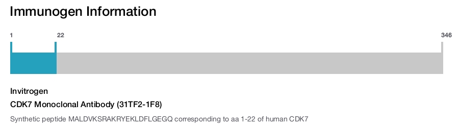 CDK7 Monoclonal Antibody (31TF2-1F8)