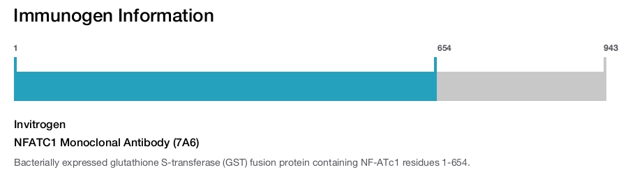 NFATC1 Monoclonal Antibody (7A6)