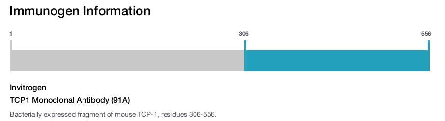 TCP1 Monoclonal Antibody (91A)