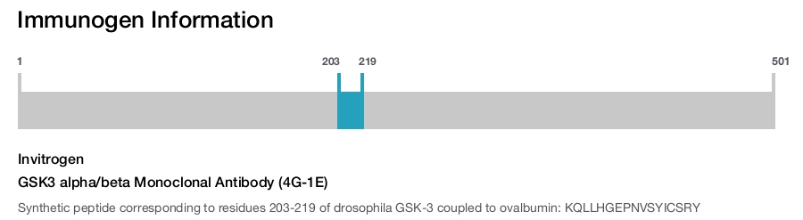 GSK3 alpha/beta Monoclonal Antibody (4G-1E)