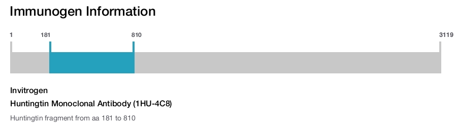 Huntingtin Monoclonal Antibody (1HU-4C8)