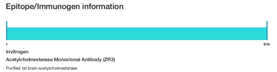 Acetylcholinesterase Monoclonal Antibody (ZR3)