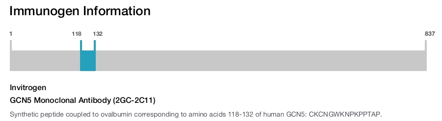 GCN5 Monoclonal Antibody (2GC-2C11)