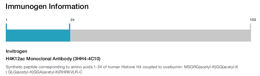 H4K12ac Monoclonal Antibody (3HH4-4C10)