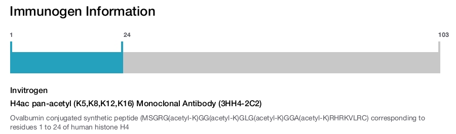 H4ac pan-acetyl (K5,K8,K12,K16) Monoclonal Antibody (3HH4-2C2)