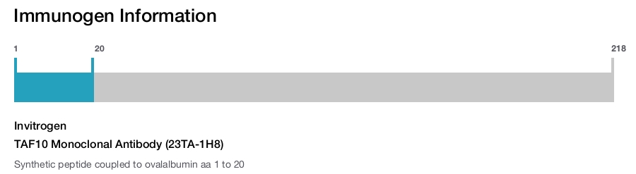 TAF10 Monoclonal Antibody (23TA-1H8)
