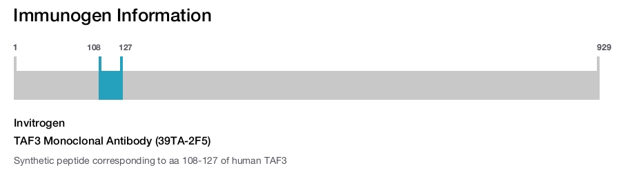 TAF3 Monoclonal Antibody (39TA-2F5)