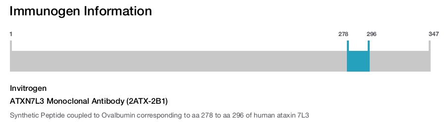 ATXN7L3 Monoclonal Antibody (2ATX-2B1)