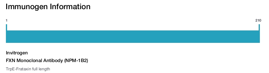 FXN Monoclonal Antibody (NPM-1B2)
