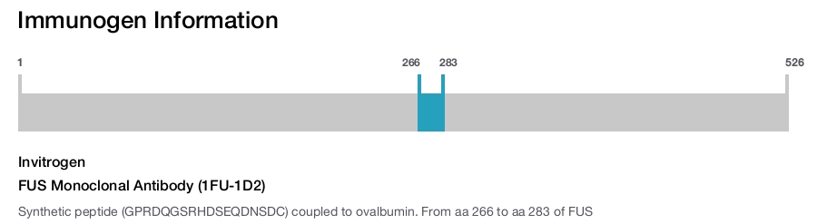 FUS Monoclonal Antibody (1FU-1D2)