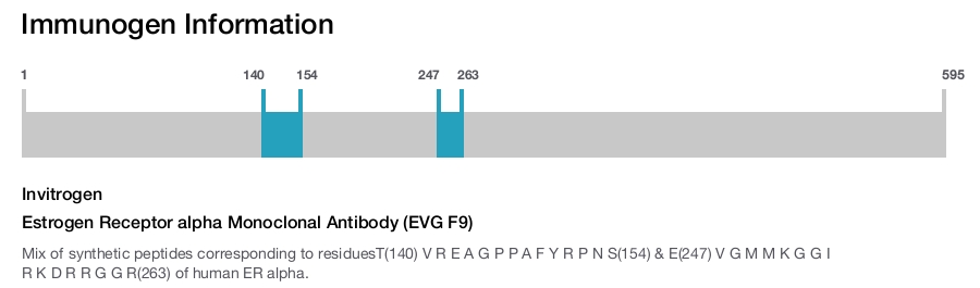Estrogen Receptor alpha Monoclonal Antibody (EVG F9)