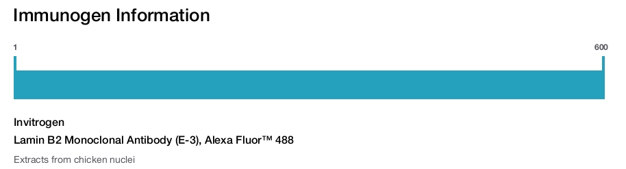 Lamin B2 Monoclonal Antibody (E-3), Alexa Fluor™ 488