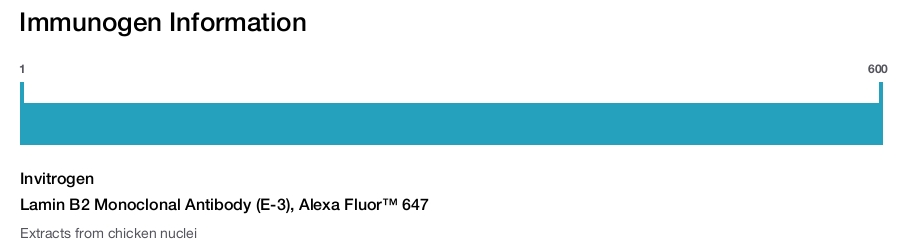 Lamin B2 Monoclonal Antibody (E-3), Alexa Fluor™ 647
