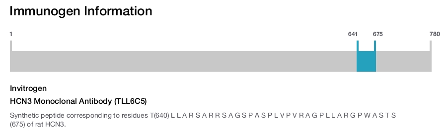 HCN3 Monoclonal Antibody (TLL6C5)