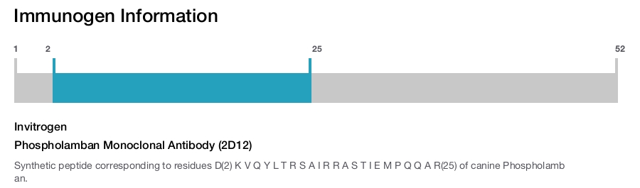 Phospholamban Monoclonal Antibody (2D12)