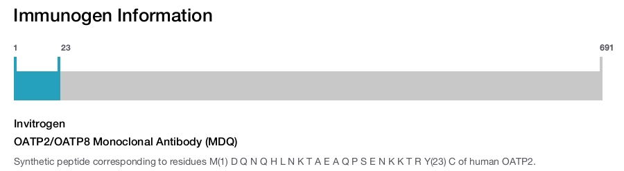 OATP2/OATP8 Monoclonal Antibody (MDQ)