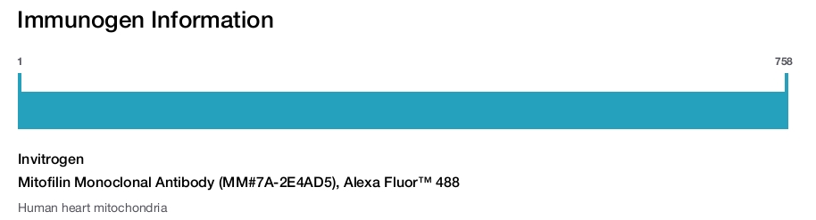 Mitofilin Monoclonal Antibody (MM#7A-2E4AD5), Alexa Fluor™ 488