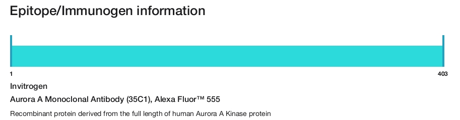 Aurora A Monoclonal Antibody (35C1), Alexa Fluor&trade; 555