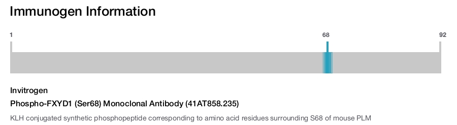 Phospho-FXYD1 (Ser68) Monoclonal Antibody (41AT858.235)